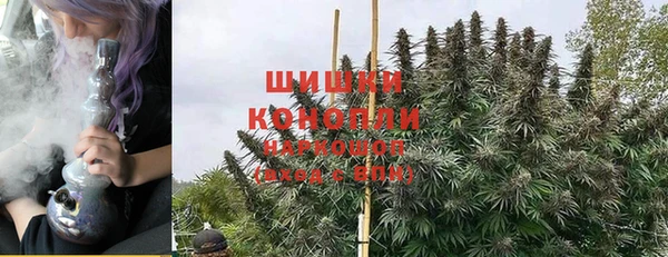 дмт Инсар