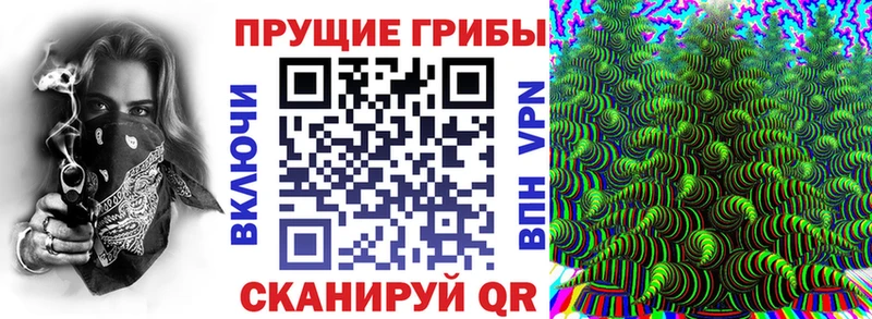 Галлюциногенные грибы MAGIC MUSHROOMS  Купить закладки  Нерюнгри 